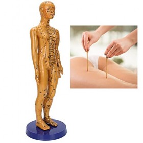 Modèle dacupuncture du corps humain femme mâle couleur cuivre méridiens modèle de Point dacupuncture pour lenseignement de