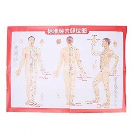 Brrnoo Modèle Dacupuncture Homme, Modèle Dacupuncture Modèle Méridien de Points Dacupuncture, Modèle de Corps Dacupunctur