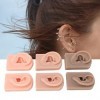 Modèle Doreille 3 Pièces, Modèle de Piercing en Silicone pour la Pratique du Massage des Oreilles, Affichage Denseignement 