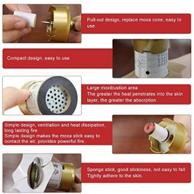 Boîte de moxibustion, outil de moxibustion, température réglable au besoin, boîte de moxa de chauffage électrique Kit de moxa