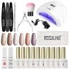 ROSALIND Kit Vernis Semi Permanent Complet UV LED Lampe 48W, 6 Couleurs 10ml Vernis Gel UV Semi Permanent avec Base et Top Co