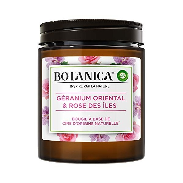 Airwick Botanica Bougie Parfumée Cire dOrigine Naturelle Magnolia & Vanille 205g