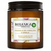 Airwick Botanica Grande Bougie Parfumée Cire dOrigine Naturelle Magnolia de lHimalaya et Vanille, Jusquà 90 Heures,Transpa