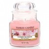 Yankee Candle bougie jarre parfumée | petite taille | Fleur de cerisier | jusqu’à 30 heures de combustion