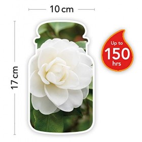 Yankee Candle bougie jarre parfumée | grande taille |Camélia en fleurs | jusqu’à 150 heures de combustion | La Collection Gar