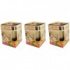 In Canto Bougie Anti-tabac 90 gr - Lot de 3