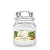 Yankee Candle bougie jarre parfumée | petite taille | Camélia en fleurs | jusqu’à 30 heures de combustion | La Collection Gar