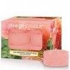 Yankee Candle Bougies Chauffe-Plat Parfumées | Rose Succulente | Boîte de 12 Lumignons