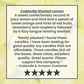 Codandle Grande bougie parfumée au soja naturel végétalien - Durée de combustion de plus de 100 heures - Fabriquée au Royaume