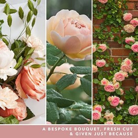 Yankee Candle bougie parfumée Roses fraîchement coupées . Format jarre . Bougie longue durée jusqu’à 150 heures de combustion