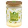 Air Wick Bougie dambiance parfumée en verre - Parfum melon miel & ylang-ylang - Avec couvercle en liège pour une fraîcheur d