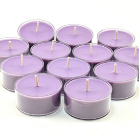 Candeo Candle Ancienne Lilas, Bougies de soja parfumée, Lot de 12 Bougies Effacer Tasse, Nouvelle Version