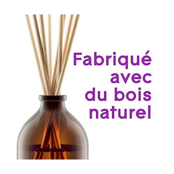 Glade Aromatherapy Bâtonnets, Diffuseur de Parfum Infusées Aux Huiles Essentielles, Moment of Zen, Lavande & Bois de Sental -