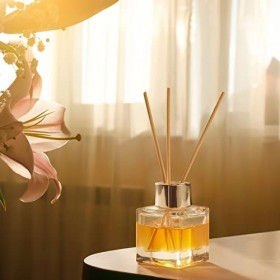 MATANA 10 Bouteilles Diffuseur en Verre Vides avec 40 Bâtonnets de Parfum - Capacité 50ml - Décoration de Maison, Huiles Esse