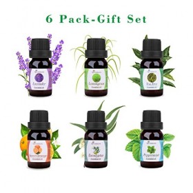 Diffuserlove Huiles Essentielles Coffret Cadeaux de 6, Eucalyptus, Lavande, Lemongrass, Orange douce, Menthe Poivrée, Arbre à
