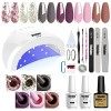 Vishine Vernis à ongles gel Starter Kit – 48 W lampe LED Lot de 6 couleurs et base top coat, outils de manucure populaire Nai