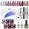 Vishine Sunone Kit de démarrage de vernis à ongles gel avec lampe UV LED 48 W Sèche rapidement Outils de manucure 6 jolies co