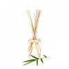 EXCEART Reed Sticks Reed Lot de 50 bâtonnets de rechange pour diffuseur aromatique pour huile essentielle