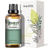 Huiles Essentielles Lemongrass 100% Pure 100 ml, Huile Essentielle Citronelle Naturelle pour Diffuseur Aromathérapie, Huile P