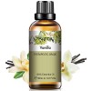 Huiles Essentielles Lemongrass 100% Pure 100 ml, Huile Essentielle Citronelle Naturelle pour Diffuseur Aromathérapie, Huile P