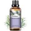 Huiles Essentielles Lemongrass 100% Pure 100 ml, Huile Essentielle Citronelle Naturelle pour Diffuseur Aromathérapie, Huile P