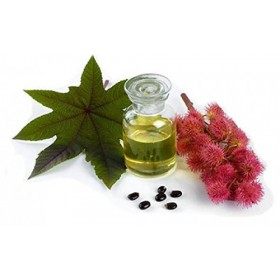 manelya Huile de Ricin avec Applicateur pour Cils 10 ml