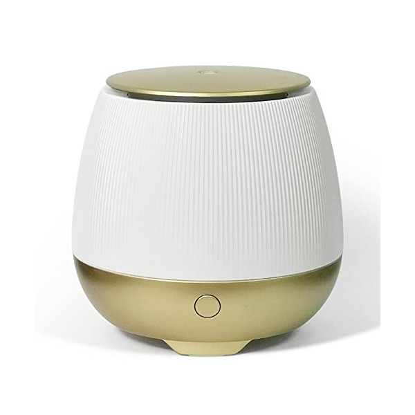 Earnest Living Diffuseurs dhuiles essentielles de 150 ML pour dhuiles essentielles pour la Maison diffuseur daromathérapie