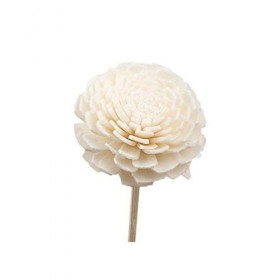 SUPVOX 5pcs rotin roseau diffuseur fleur huile essentielle roseaux parfumés bâtons diffuseur dhuile parfum pour chambre sall