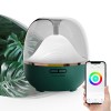 Diffuseur dHuiles Essentielles WiFi, Ankrs 600ml Humidificateur dair Compatible avec Alexa/Google Home, Diffuseur Électriqu