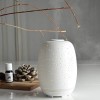 Zen ARÔME Zen’Arôme d’Huile Essentielle Stella Ultrasonique Aromathérapie à Froid-Diffuseur Électrique Multifonction en Céram