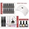 ROSALIND 12PCS Kit Vernis à Ongles Semi Permanent Complet 36W uv lamp, avec Base et Top Matt Coat, Automne Semi Permanent Kit