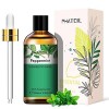 PHATOIL Huiles Essentielles de Citronelle 100 ml, Huile Essentielle dAromathérapie pour Diffuseurs Humidificateurs, Huiles d