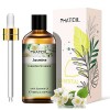 PHATOIL Huiles Essentielles de Citronelle 100 ml, Huile Essentielle dAromathérapie pour Diffuseurs Humidificateurs, Huiles d