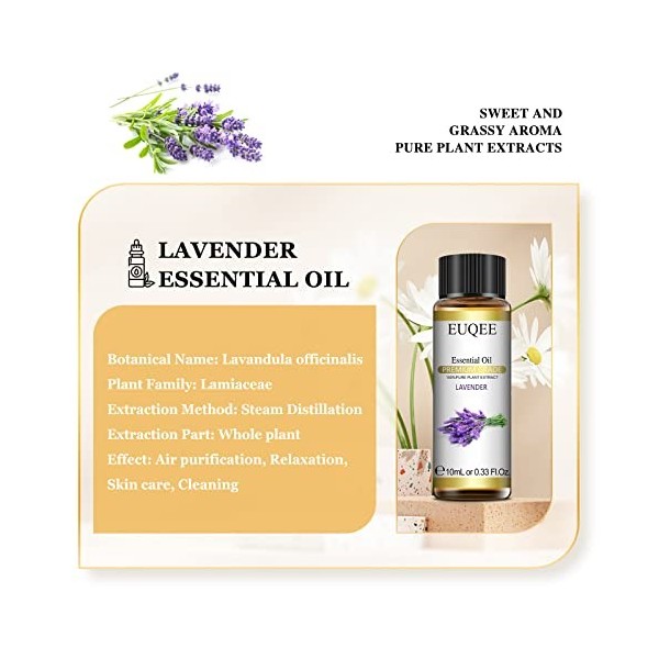 EUQEE Huile Essentielle Lavande 10ml, 100% Pure Huile de Lavande Bio Naturelles, Huile Essentielle pour Diffuseur, Aromathéra