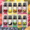 PHATOIL Ensemble Dhuiles Essentielles Fruits Parfumées pour Diffuseur 10 x 10 ml, Aromatherapy Huiles Essentielles Bio, Cher