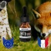 FoxCoh, Noix de coco 10ml, Huile essentielle Concentré de parfum - Pipette - Diffusion, Cosmétique, Massage, Bain aromatiqu