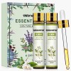 MIGCAPUT Huile Essentielle de Jasmin 2x10ML, Huile Essentielle Aromathérapie 100% Pure & Naturelle pour Diffuseur, Humidifica