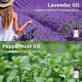 Huiles Essentielles pour Diffuseurs, Huile Essentielle Pure: Lavande, Eucalyptus, Arbre à thé, Menthe Poivrée, Citronnelle, O