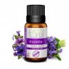 HUILE PARFUMÉE violette 10 ml, Huile essentielle - Diffusion, Cosmétique, Massage, Bain aromatique - DIY Bougie, Savon, Crème