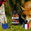 FoxCoh, Cerise 10ml, Huile essentielle Concentré de parfum - Pipette - Diffusion, Cométique, Massage, Bain aromatique - DIY