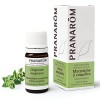 Pranarôm - Mélange pour Diffuseur Huiles Essentielles Anti-Moustiques Bio - Pranabb Diffusion Citronnelle 10 ml