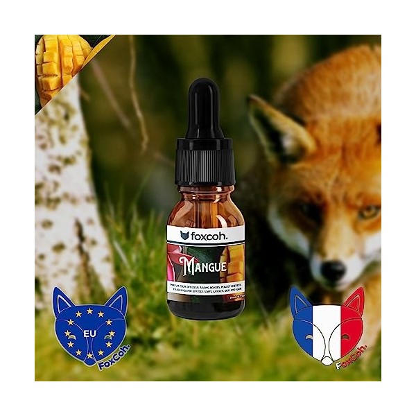 FoxCoh, Mangue 10ml, Huile essentielle Concentré de parfum - Pipette - Diffusion, Cosmétique, Massage, Bain aromatique - DI