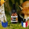 FoxCoh, Mangue 10ml, Huile essentielle Concentré de parfum - Pipette - Diffusion, Cosmétique, Massage, Bain aromatique - DI