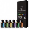 Mindbreaker Set d’aromathérapie bio avec 6 bouteilles d’huile essentielle série traditionnelle 