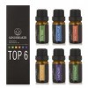 Mindbreaker Set d’aromathérapie bio avec 6 bouteilles d’huile essentielle série traditionnelle 