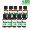 Pack de 10 Huiles Essentielles Bio - Les Indispensables pour lAromathérapie - Idéal pour Diffuseur et pour Nombreux Domaines