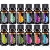 Top Lot dhuiles essentielles et mélanges dhuiles essentielles – Top 10 ml dhuiles essentielles et mélanges pour diffuseur,