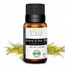 Huile Essentielle Arbre à thé Tea tree - 10ml