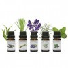 Rio Aromatherapy Coffret cadeau 5 x 10 ml