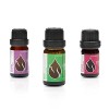 Coffret "Respirez Librement" Huiles Essentielles Bio | Thym 10ml + Menthe 10ml + Hysope 5ml | 100% Pur et Naturel | Non